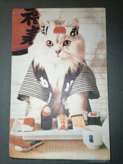 Лот: 21102951. Фото: 1. Открытка кошка 1990- е годы. Открытки, конверты