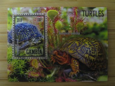 Лот: 19601063. Фото: 1. Марки 2019. Гамбия. Черепаха... Марки