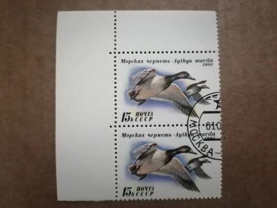 Лот: 25899965. Фото: 1. Фауна. Утки 1991 г. СССР. Сцепка. Марки