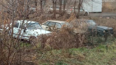 Лот: 25910119. Фото: 1. Волга. Кузов