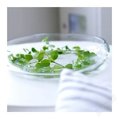 Лот: 2522484. Фото: 1. Ваза-миска стеклянная. Вазы