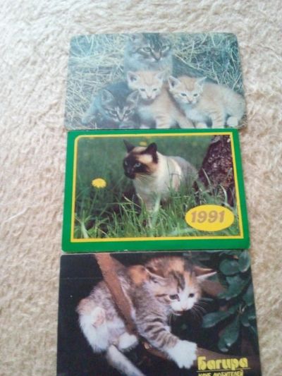 Лот: 8850035. Фото: 1. Календарики с кошками-2. Календари