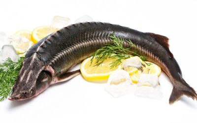 Лот: 8619252. Фото: 1. Наивкуснейшая Стерлядь БЕЗ Консервантов. Икра, рыба, морепродукты