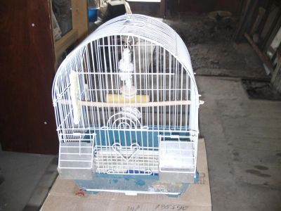 Лот: 3491325. Фото: 1. Клетка для попугаев. Домики, переноски, клетки, когтеточки