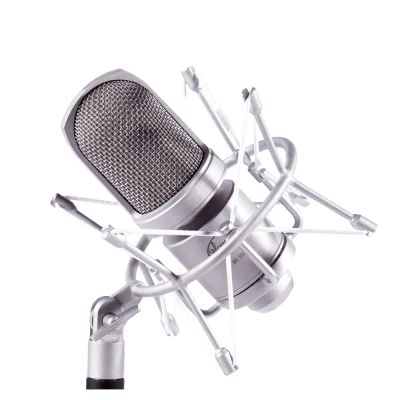 Лот: 25889242. Фото: 1. Микрофон ОКТАВА МК-105 микрофон... Клавиатуры для ноутбуков