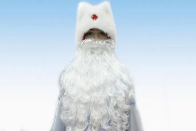 Лот: 21358649. Фото: 1. Борода Деда Мороза, 50 см. Взрослые карнавальные костюмы