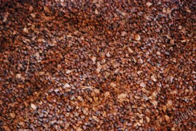 Лот: 1180404. Фото: 1. свежий вкусный кедровый орех урожая... Ягоды, орехи