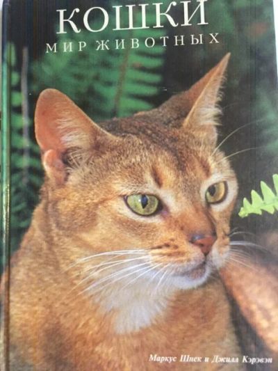 Лот: 19235648. Фото: 1. Кошки, мир животных - книга-альбом. Домашние животные