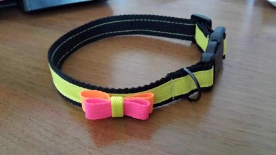 Лот: 4078569. Фото: 1. Ошейник. Ошейники, одежда, конное снаряжение