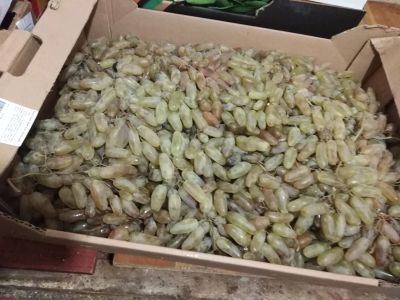 Лот: 14967309. Фото: 1. №6 виноград. Овощи, фрукты, зелень