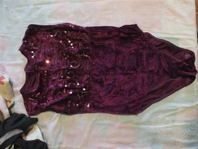 Лот: 2881564. Фото: 1. боди бархат. Другое (женская одежда)
