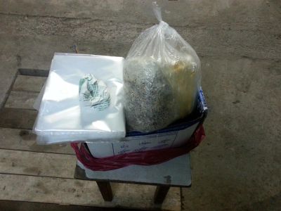 Лот: 3278947. Фото: 1. Комплект для выращивания вешенки... Другое (семена, рассада, садовые растения)