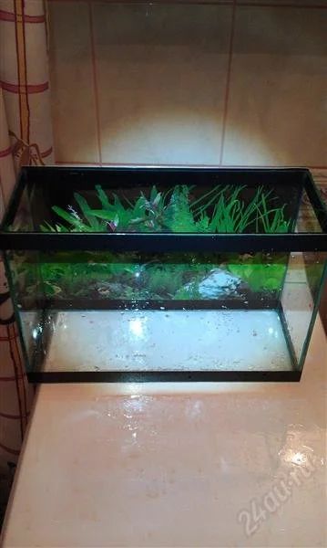 Лот: 2680186. Фото: 1. аквариум 10л плюс грунт. Аквариумы, террариумы