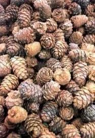 Лот: 1189003. Фото: 1. кедровые шишки (мешок). Ягоды, орехи