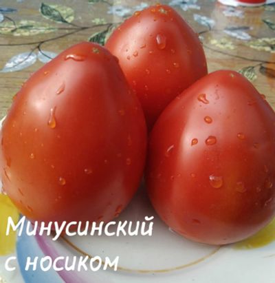 Лот: 20982790. Фото: 1. семена минусинских помидор. Овощи