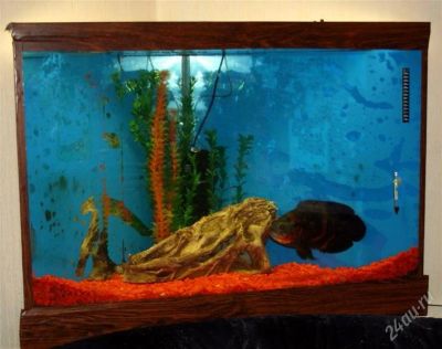 Лот: 2844503. Фото: 1. Аквариум(угловой) с рыбой и оборудованием... Аквариумы, террариумы