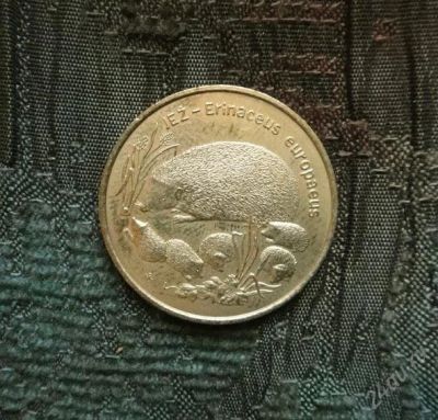 Лот: 786021. Фото: 1. Монета Польши, 2 злотых, 1996... Европа