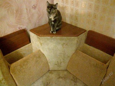 Лот: 2930796. Фото: 1. диван-уголок ЦЕна СНижена. Кресла, пуфы