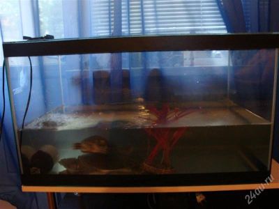 Лот: 1888084. Фото: 1. Аквариум 110л. Аквариумы, террариумы
