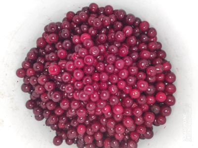 Лот: 14281601. Фото: 1. Вишня 🍒 на ножке. Ягоды, орехи