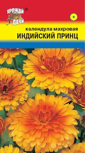 Лот: 12876969. Фото: 1. Семена календулы махровой "Индийский... Садовые цветы