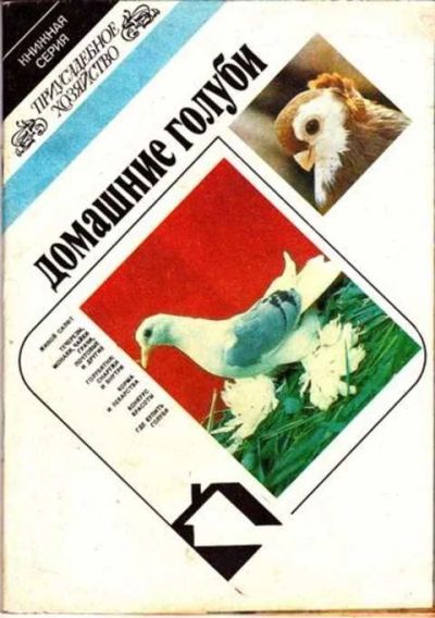 Лот: 12261825. Фото: 1. Домашние голуби Книжная серия... Домашние животные