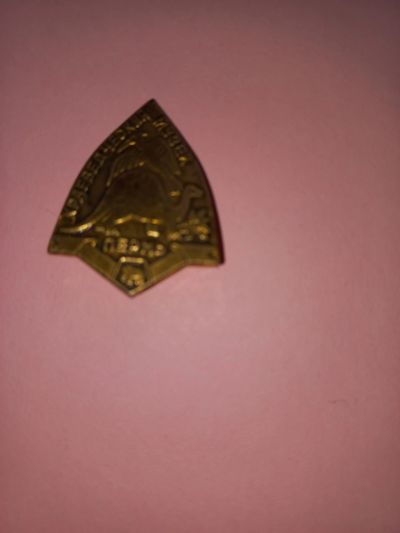 Лот: 19625487. Фото: 1. Значок Пермь Краеведческий музей. Сувенирные
