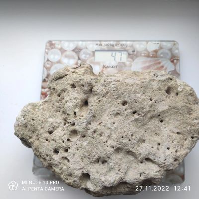 Лот: 19662953. Фото: 1. Сухой рифовый камень СРК коралл. Моллюски, ракообразные, кораллы
