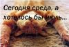 Аватарка