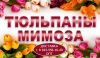 Аватарка