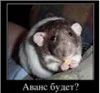 Аватарка