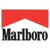 Marlboro