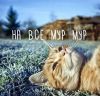 Аватарка
