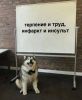 Аватарка