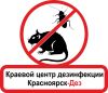 Аватарка