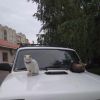 Аватарка