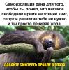 Аватарка