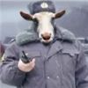 Аватарка