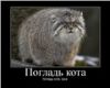 Аватарка