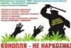 Аватарка