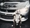 Аватарка