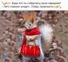 Аватарка