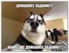 Аватарка