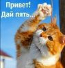 Аватарка