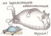 Аватарка