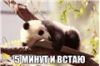 Аватарка