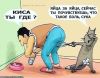 Аватарка