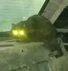 Аватарка