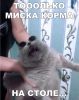 Аватарка