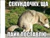 Аватарка
